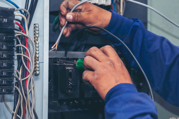 Best Ceiling Fan Installation Electrician  in Dunean, SC